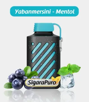 Vozol 10000 Blue Razz ice satın al