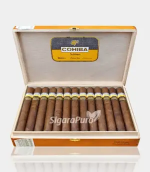 Cohiba Sublimes puro satın al - Cohiba Sublimes fiyat